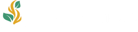 Smokestead - Home